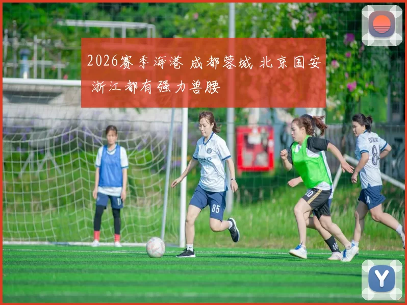 2026赛季海港 成都蓉城 北京国安 浙江都有强力兽腰