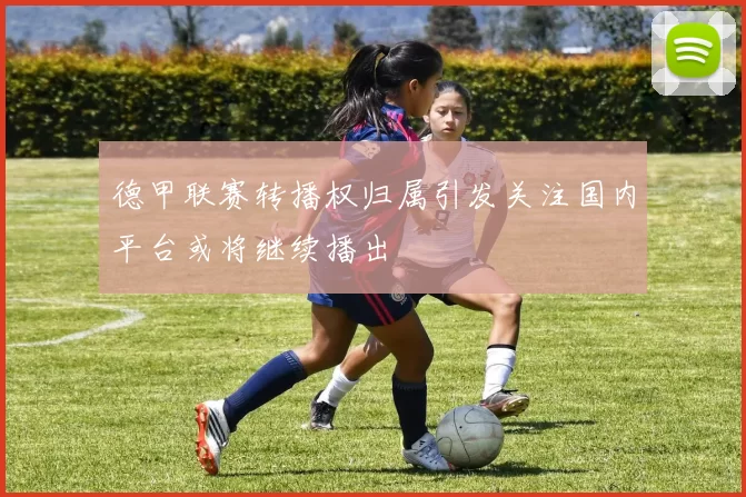 德甲联赛转播权归属引发关注国内平台或将继续播出