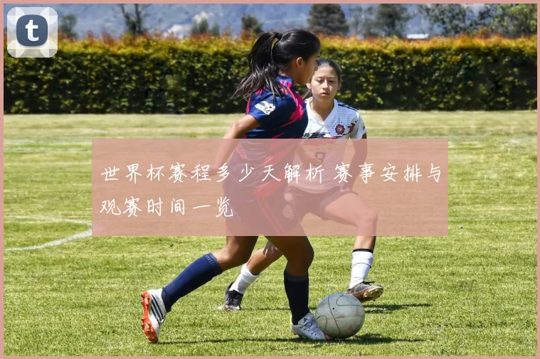 世界杯赛程多少天解析 赛事安排与观赛时间一览